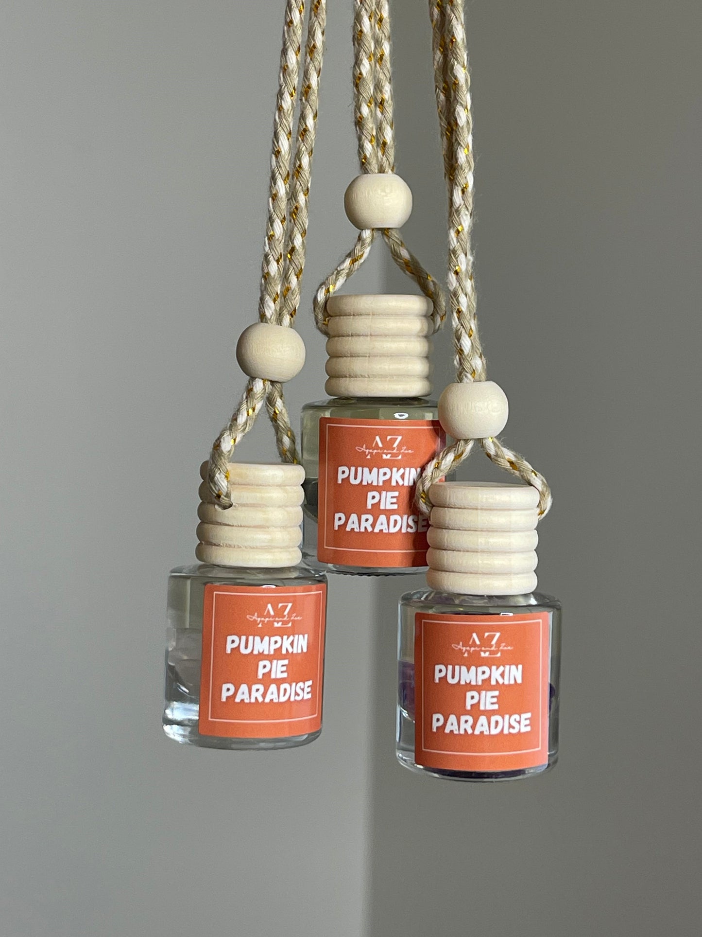 Pumpkin Pie Paradise Car Diffuser